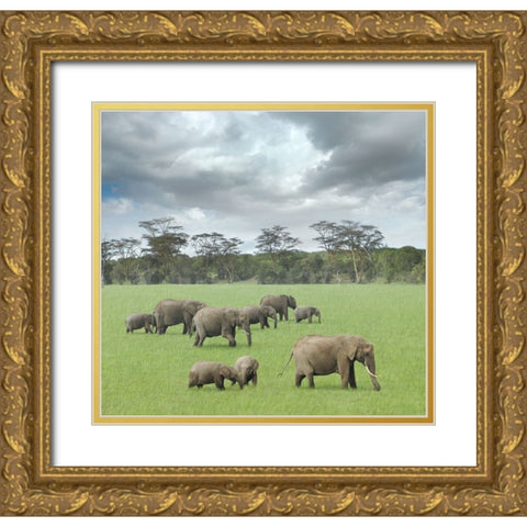 We Are Family 2 Gold Ornate Wood Framed Art Print with Double Matting by Heine, Ben