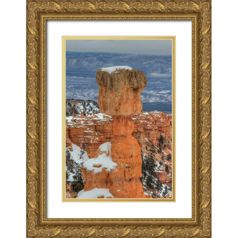 A Pillar Of Strength Gold Ornate Wood Framed Art Print with Double Matting by Sherrell, Bill