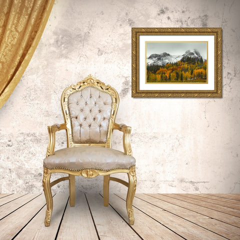 A Rocky Mountain Autumn Gold Ornate Wood Framed Art Print with Double Matting by Sherrell, Bill