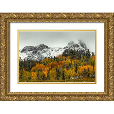 A Rocky Mountain Autumn Gold Ornate Wood Framed Art Print with Double Matting by Sherrell, Bill
