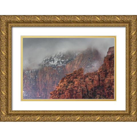 Behind The Veil Gold Ornate Wood Framed Art Print with Double Matting by Sherrell, Bill