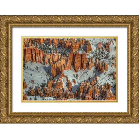 Color In The Snow Gold Ornate Wood Framed Art Print with Double Matting by Sherrell, Bill