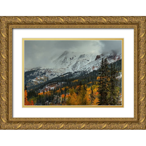 Dark Storm Over Red Mountain Pass Gold Ornate Wood Framed Art Print with Double Matting by Sherrell, Bill