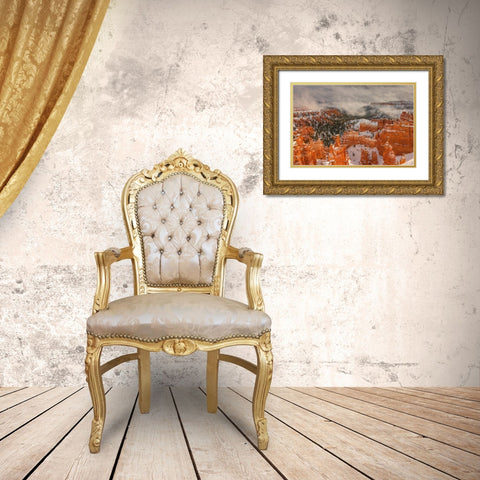 Hoodoos And Lightplay Gold Ornate Wood Framed Art Print with Double Matting by Sherrell, Bill