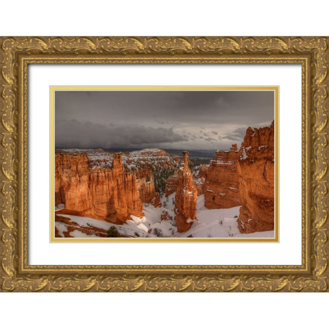 Stormy Sunlight Gold Ornate Wood Framed Art Print with Double Matting by Sherrell, Bill