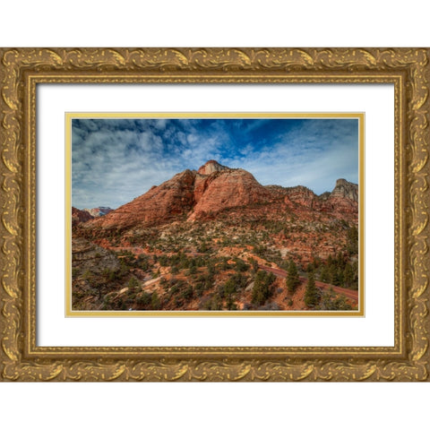 The Road To Zion Gold Ornate Wood Framed Art Print with Double Matting by Sherrell, Bill