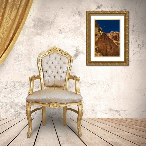 Towering Moon Gold Ornate Wood Framed Art Print with Double Matting by Sherrell, Bill