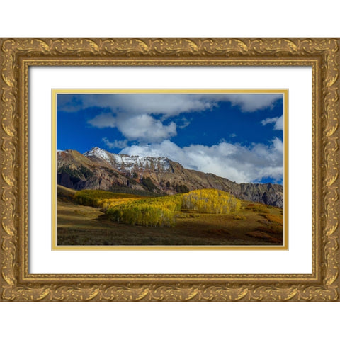 A Colorado Autumn Gold Ornate Wood Framed Art Print with Double Matting by Sherrell, Bill