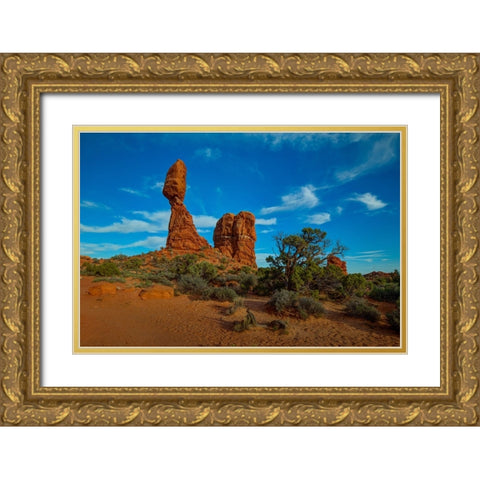 Balanced Rock-Utah 2 Gold Ornate Wood Framed Art Print with Double Matting by Sherrell, Bill