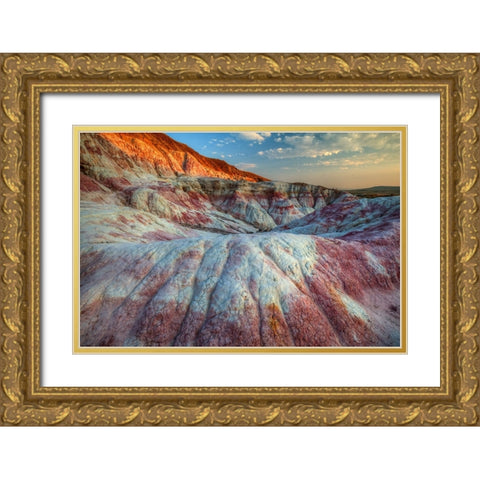Circular By Design Gold Ornate Wood Framed Art Print with Double Matting by Sherrell, Bill