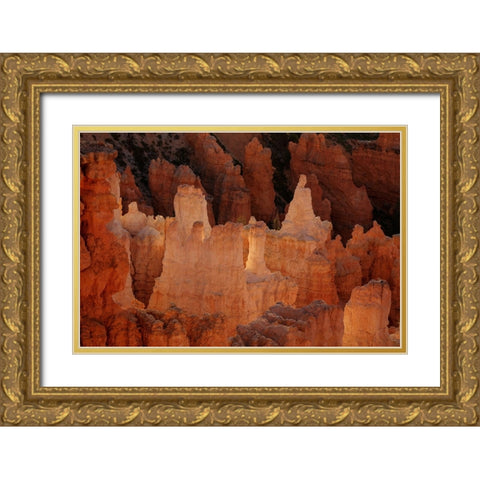 Illumination Castle Gold Ornate Wood Framed Art Print with Double Matting by Sherrell, Bill
