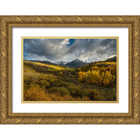 The Valley Of Autumn Light Gold Ornate Wood Framed Art Print with Double Matting by Sherrell, Bill