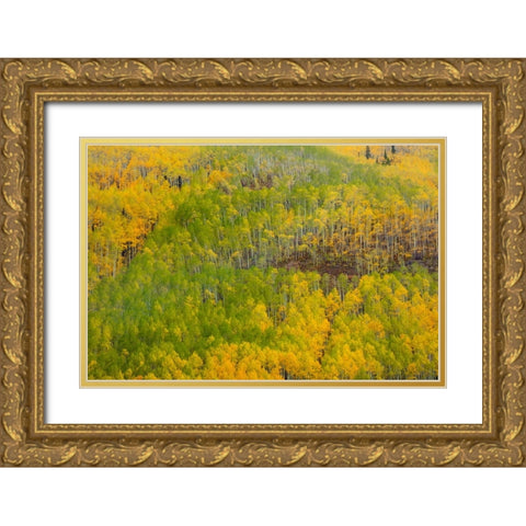Transition Gold Ornate Wood Framed Art Print with Double Matting by Sherrell, Bill