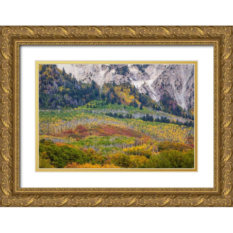 Up Against A Wall Gold Ornate Wood Framed Art Print with Double Matting by Sherrell, Bill
