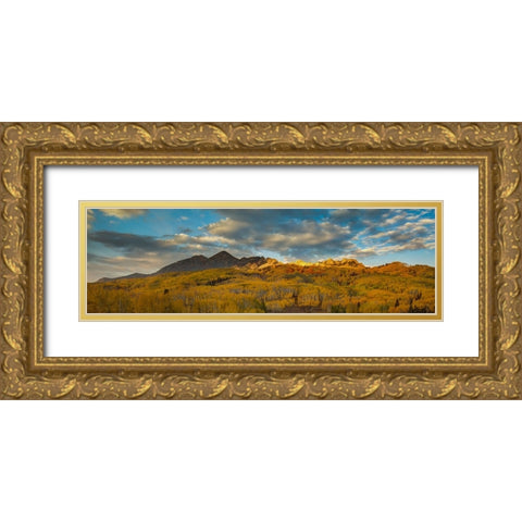Witness To A Grand Finale Gold Ornate Wood Framed Art Print with Double Matting by Sherrell, Bill