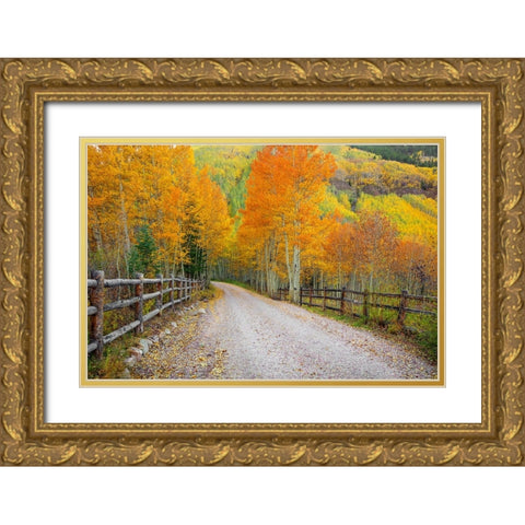 Wondrous Journey Gold Ornate Wood Framed Art Print with Double Matting by Sherrell, Bill