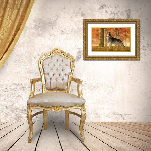 A Wolf In Autumn Gold Ornate Wood Framed Art Print with Double Matting by Eskridge, Daniel