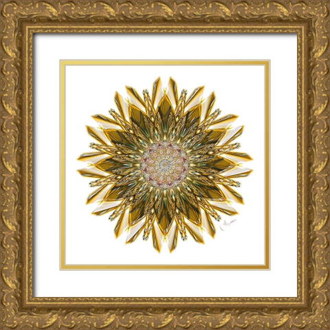 Gold Glass Star Gold Ornate Wood Framed Art Print with Double Matting by Manlove, David