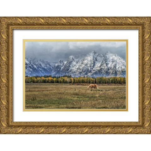 Fine Dining In The Tetons Gold Ornate Wood Framed Art Print with Double Matting by Galloimages Online