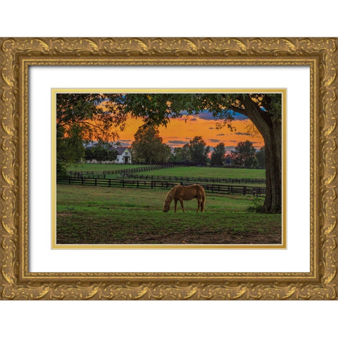 Horse Farm Sunset Gold Ornate Wood Framed Art Print with Double Matting by Galloimages Online