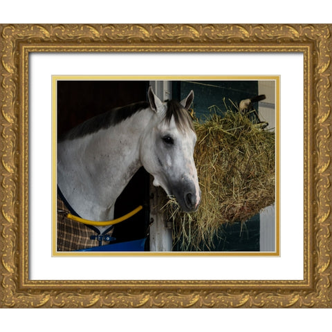 Pre-Race Wheaties Gold Ornate Wood Framed Art Print with Double Matting by Galloimages Online