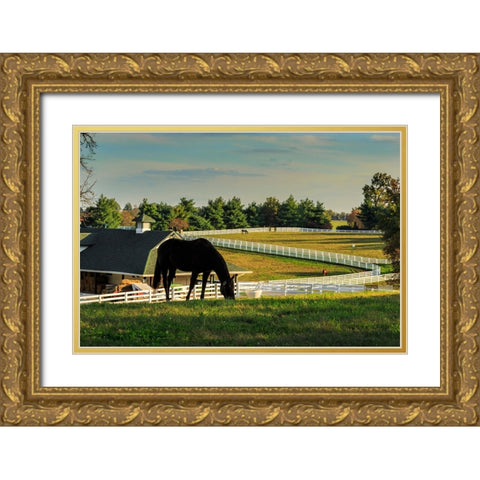 Sunset On The Farm Gold Ornate Wood Framed Art Print with Double Matting by Galloimages Online