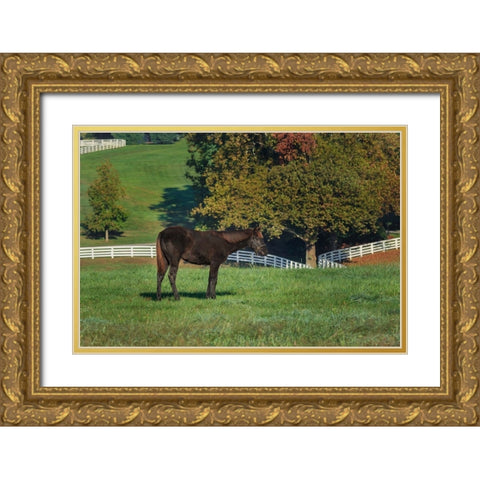 The Mane Event Gold Ornate Wood Framed Art Print with Double Matting by Galloimages Online