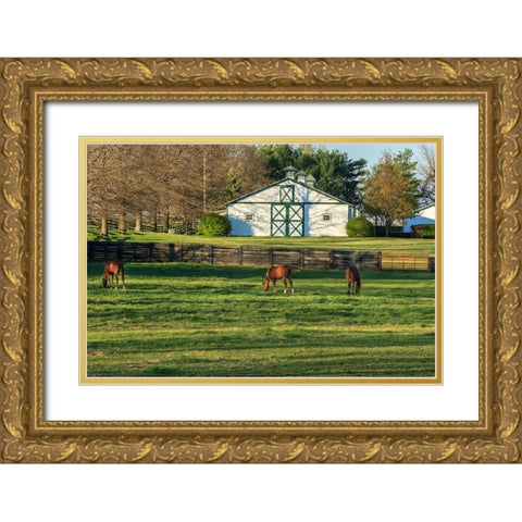 Horse Farm Landscape Gold Ornate Wood Framed Art Print with Double Matting by Galloimages Online