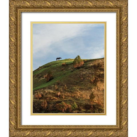 Horse On Hill (TRNP) Gold Ornate Wood Framed Art Print with Double Matting by Galloimages Online