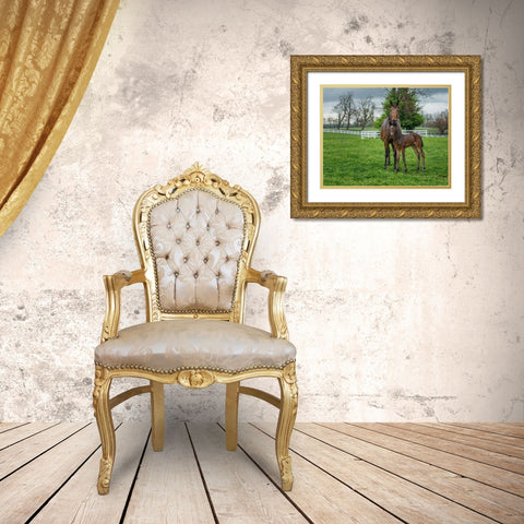 Mare And Foal 2 Gold Ornate Wood Framed Art Print with Double Matting by Galloimages Online