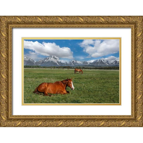 Teton Horses Gold Ornate Wood Framed Art Print with Double Matting by Galloimages Online
