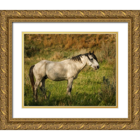 Wild Horse Gold Ornate Wood Framed Art Print with Double Matting by Galloimages Online