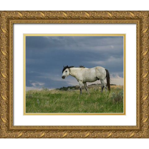 Wild Horse - Stallion (Storm) Gold Ornate Wood Framed Art Print with Double Matting by Galloimages Online