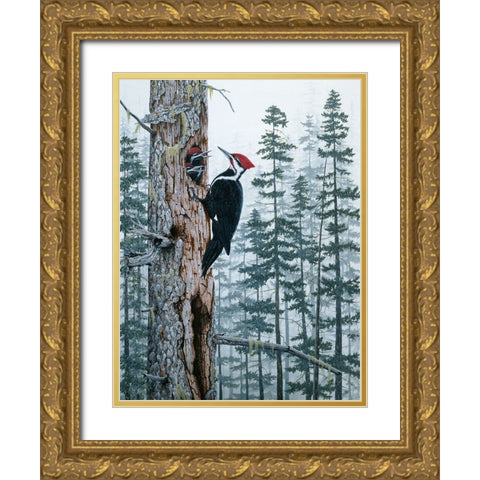 Piliated Woodpeckers Gold Ornate Wood Framed Art Print with Double Matting by Tift, Jeff