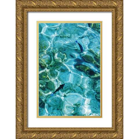 Maldives Fishes in the Clear Water 2 Gold Ornate Wood Framed Art Print with Double Matting by Jenny Rainbow Fine Art