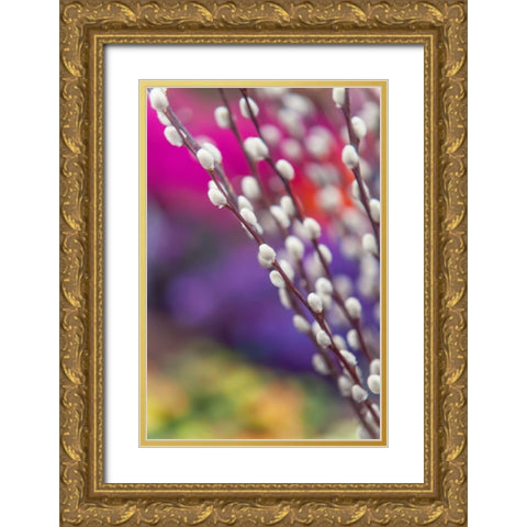 Spring Willow Branch Gold Ornate Wood Framed Art Print with Double Matting by Jenny Rainbow Fine Art