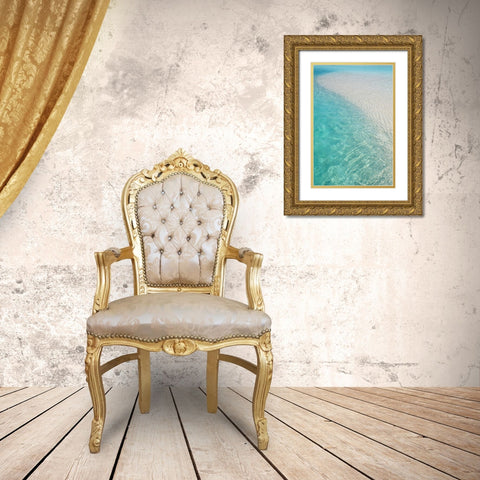 Water Meditation Gold Ornate Wood Framed Art Print with Double Matting by Jenny Rainbow Fine Art