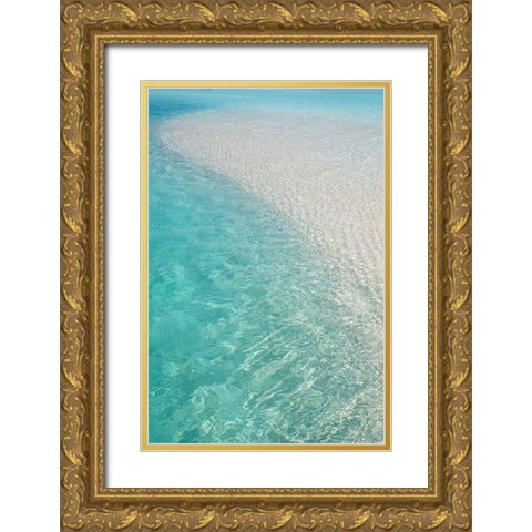 Water Meditation Gold Ornate Wood Framed Art Print with Double Matting by Jenny Rainbow Fine Art