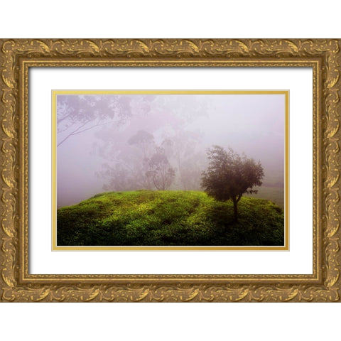Ghost Tree in the Haunted Forest Gold Ornate Wood Framed Art Print with Double Matting by Jenny Rainbow Fine Art