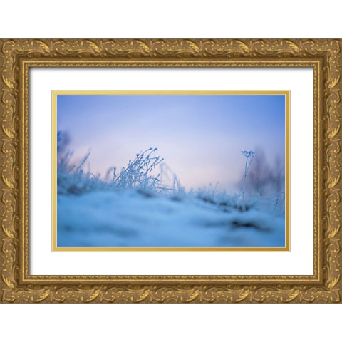 Magic Winter Moments 2 Gold Ornate Wood Framed Art Print with Double Matting by Jenny Rainbow Fine Art