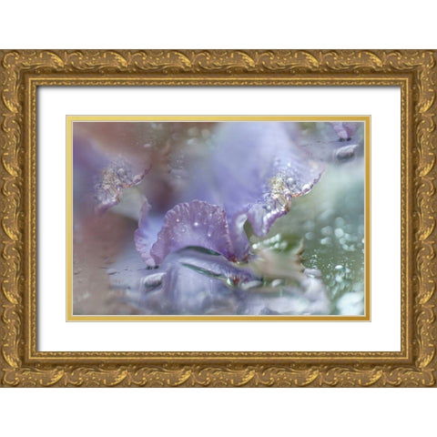 Morning Diamonds Iris Macro 1 Gold Ornate Wood Framed Art Print with Double Matting by Jenny Rainbow Fine Art