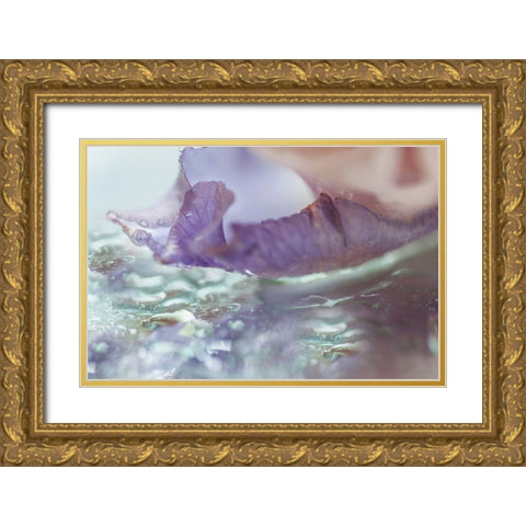 Morning Diamonds Iris Macro 2 Gold Ornate Wood Framed Art Print with Double Matting by Jenny Rainbow Fine Art