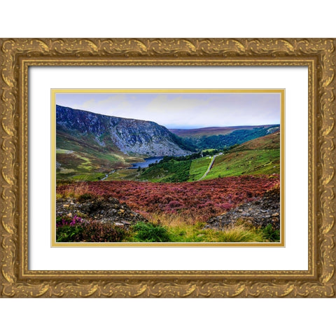Multicolored Carpet of Wicklow Hills Gold Ornate Wood Framed Art Print with Double Matting by Jenny Rainbow Fine Art