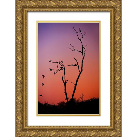 Mysterious Sunset Gold Ornate Wood Framed Art Print with Double Matting by Jenny Rainbow Fine Art