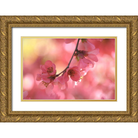 Sensual Touch of Spring Gold Ornate Wood Framed Art Print with Double Matting by Jenny Rainbow Fine Art