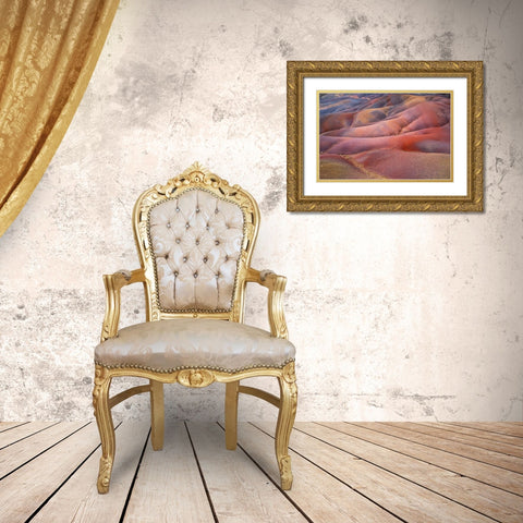 Seven Colored Earth of Chamarel Gold Ornate Wood Framed Art Print with Double Matting by Jenny Rainbow Fine Art
