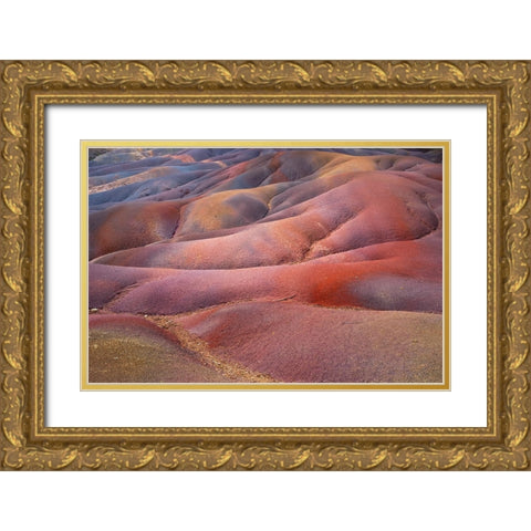 Seven Colored Earth of Chamarel Gold Ornate Wood Framed Art Print with Double Matting by Jenny Rainbow Fine Art