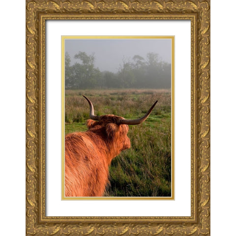 Highland Cow Gold Ornate Wood Framed Art Print with Double Matting by Jenny Rainbow Fine Art