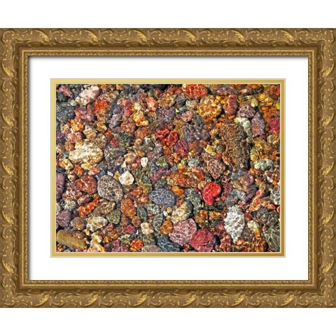 River Rocks Gold Ornate Wood Framed Art Print with Double Matting by Schell, Jennie Marie