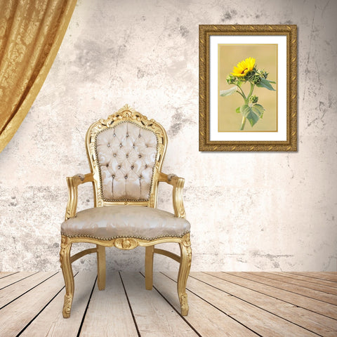 Sunflower Gold Ornate Wood Framed Art Print with Double Matting by Schell, Jennie Marie